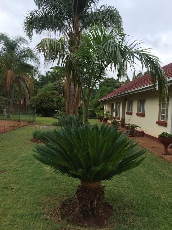 Palm Villa Harare Bagian luar foto